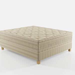 Saffron, Authentica, Continental seng