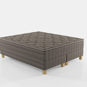 Saffron, Phantasia, Continental seng