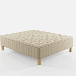 Saffron, Stella, Box