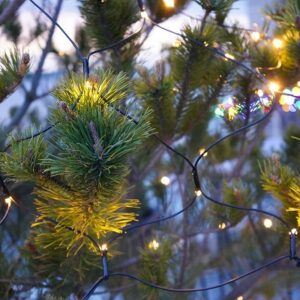 Top-line net startsæt - 100 LEDS