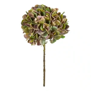 Speedtsberg, Hortensia stilk