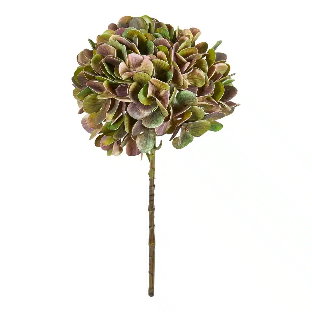 Speedtsberg, Hortensia stilk