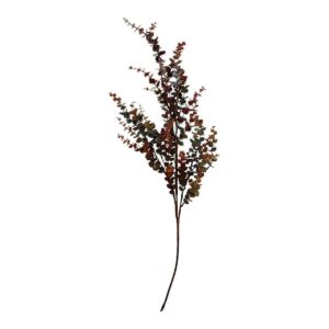 Speedtsberg, Eukalyptus